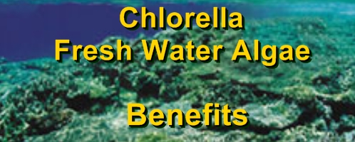Ormus Minerals Ocean Nectar Ingredient - Chlorella Fresh Water benefits