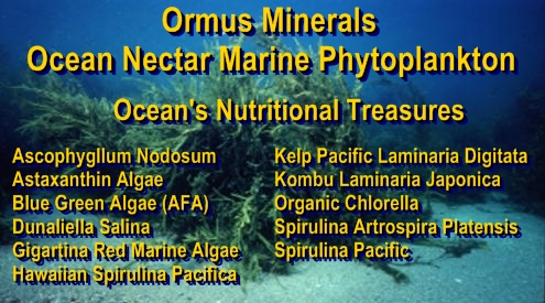 Ormus Minerals Ocean Nectar Marine Phytoplankton - Ocean's Nutritional Treasures