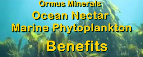 Ormus Minerals Ocean Nectar Marine Phytoplankton Benefits